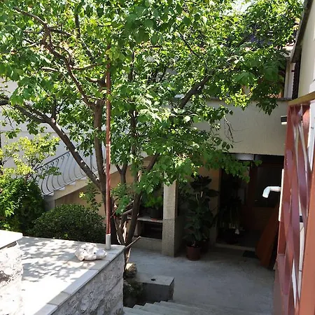 Guest house Palm Street 3*