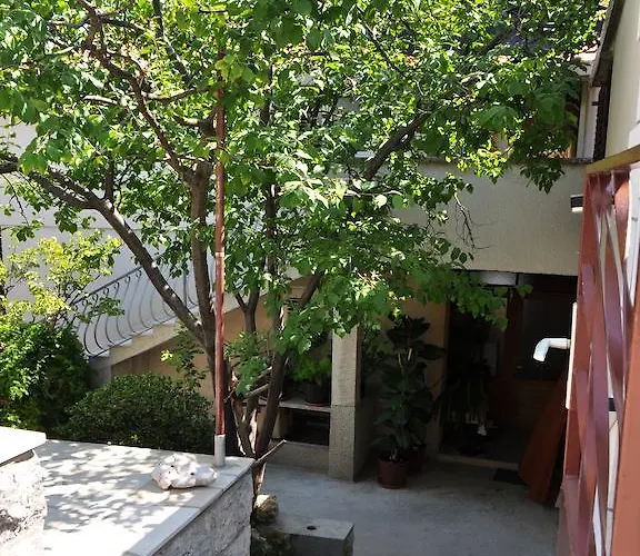 Guest house Palm Street 3*